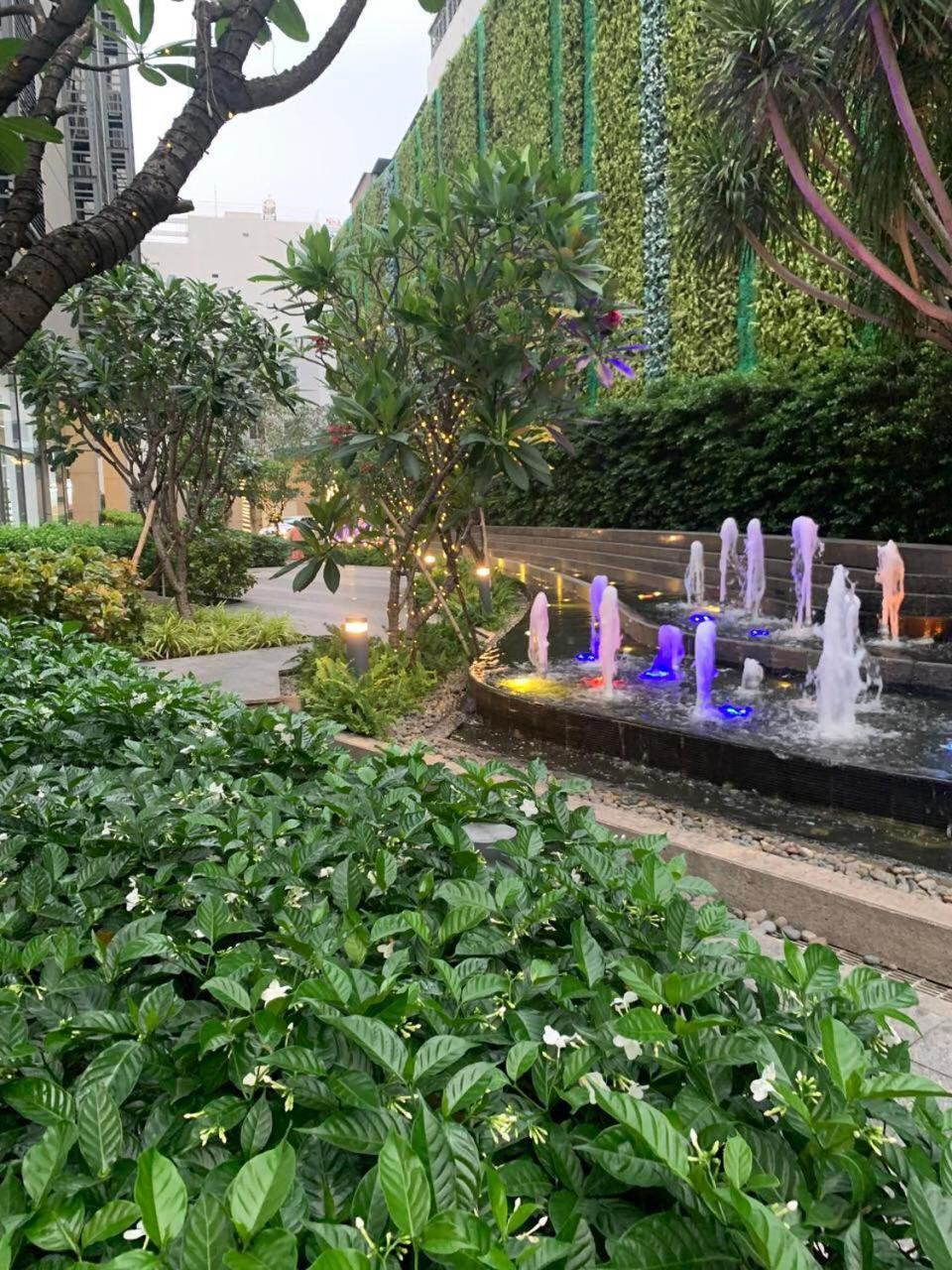 The Everich Infinity 290 Adv * TP. Hồ Chí Minh